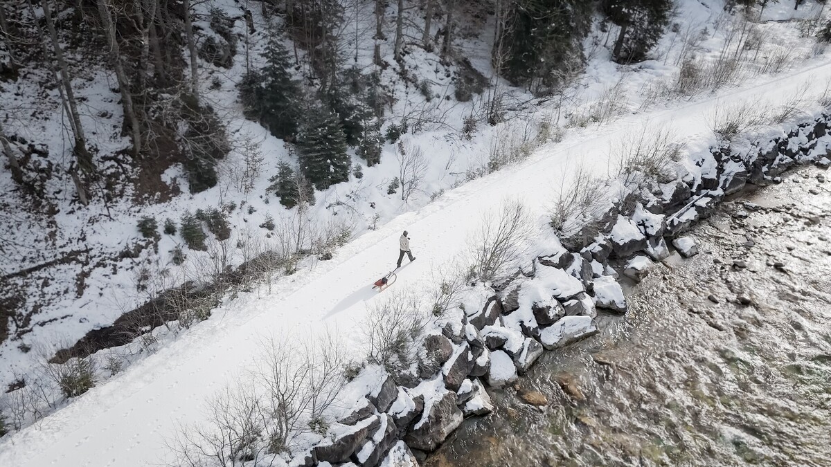 Hinterriss toboggan run