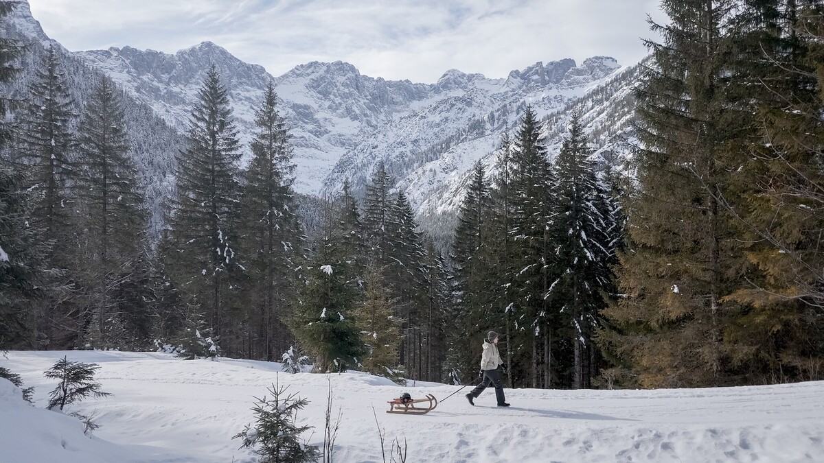 Toboggan Run Hinterriss