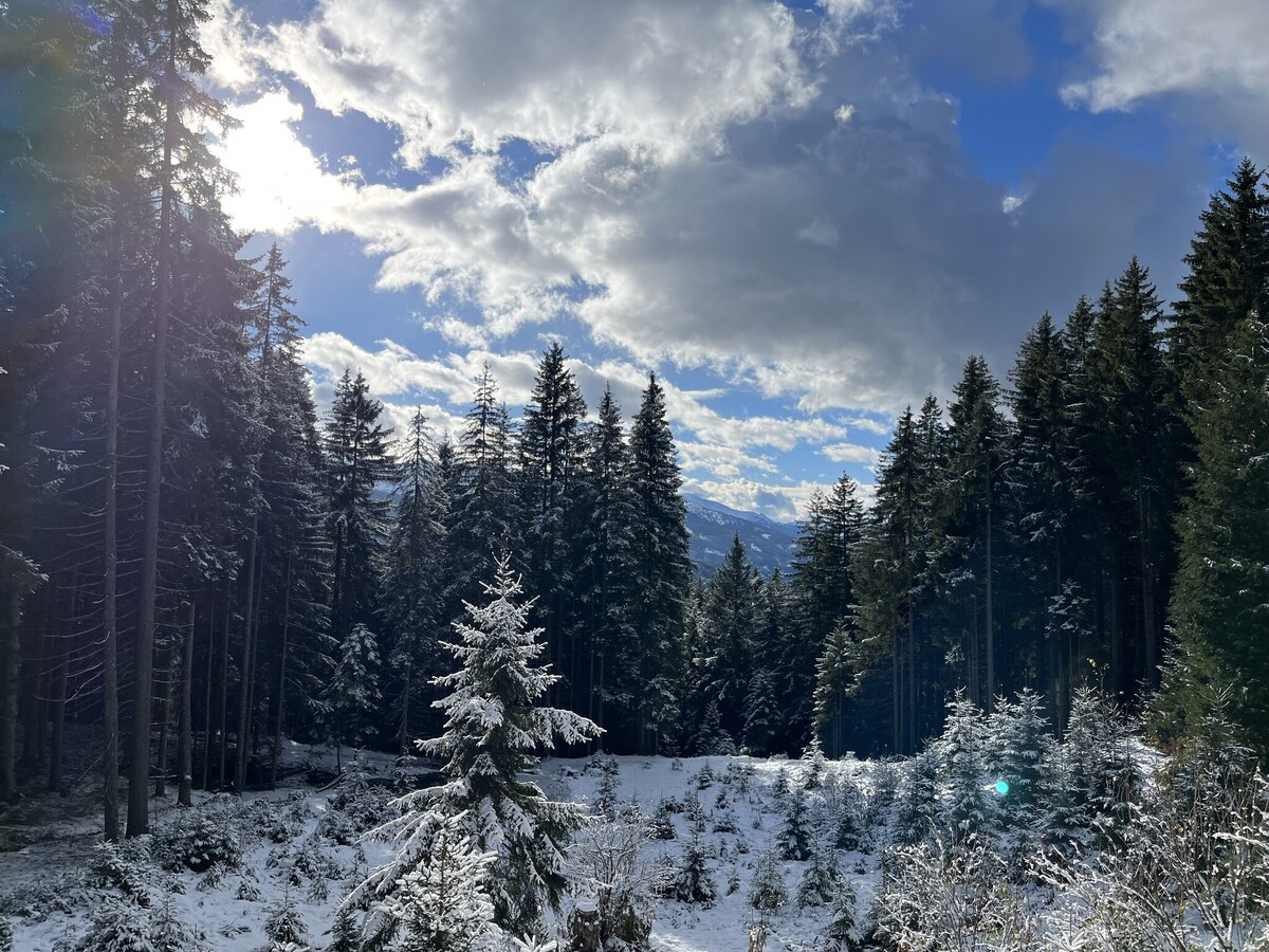 Landschaft mit dünner Schneedecke