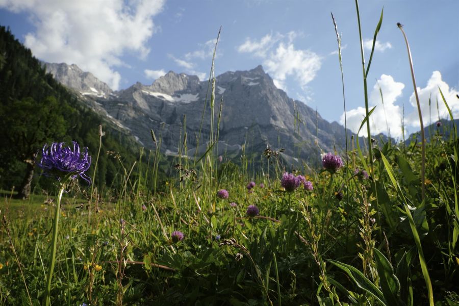 Natur