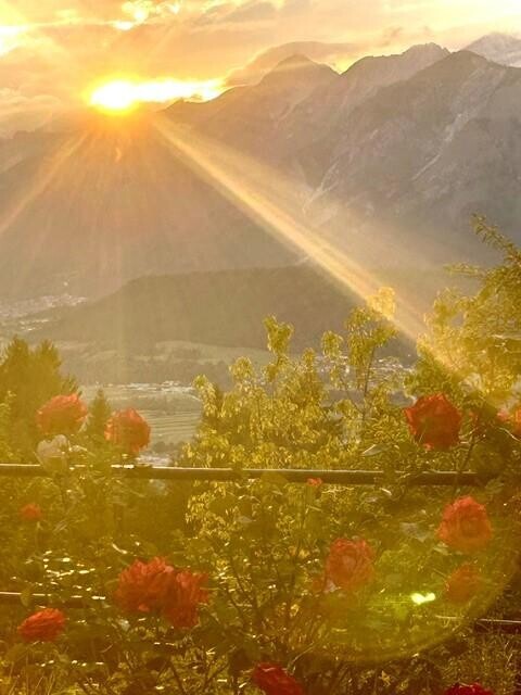 Aussblick
