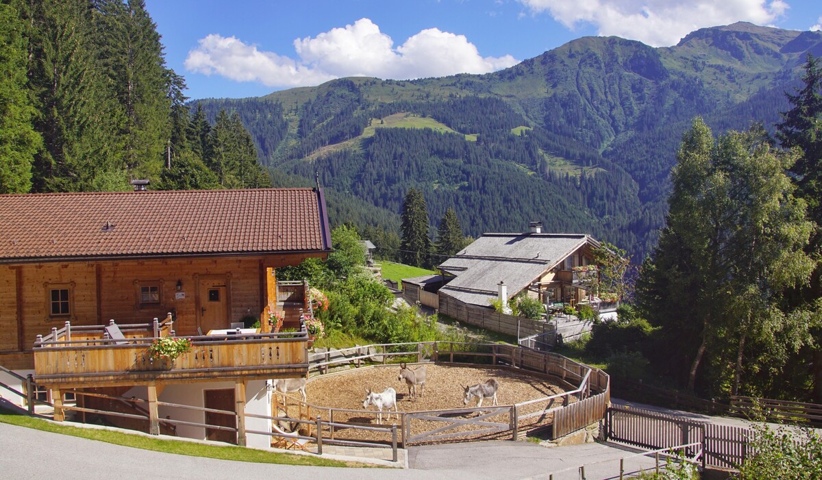 READYNOW Alpin Resonanz Camp für mentale Klarheit
