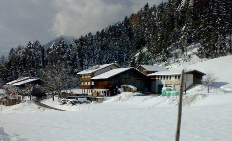 Kampflhof Appartment