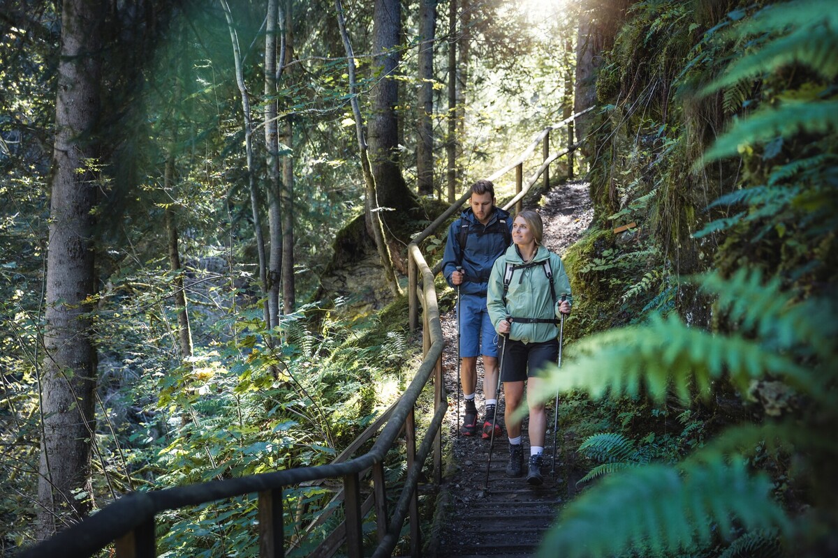 Walk to the Rear Suspension Bridge