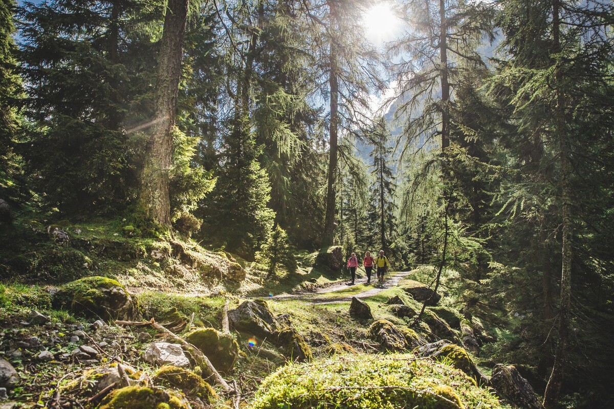 Wanderung von der Bärenrast zur Lamsenjochhütte