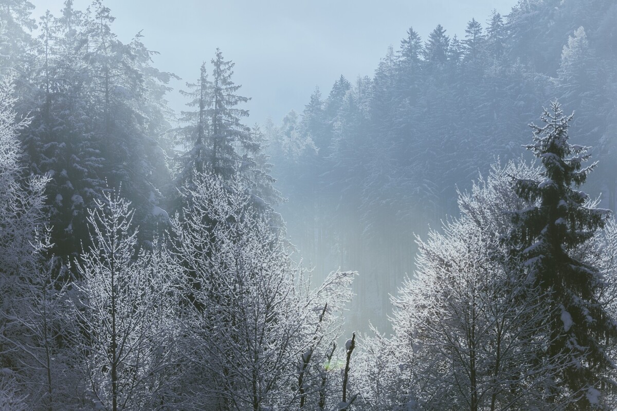 Toboggan Run Terfens - Umlberg