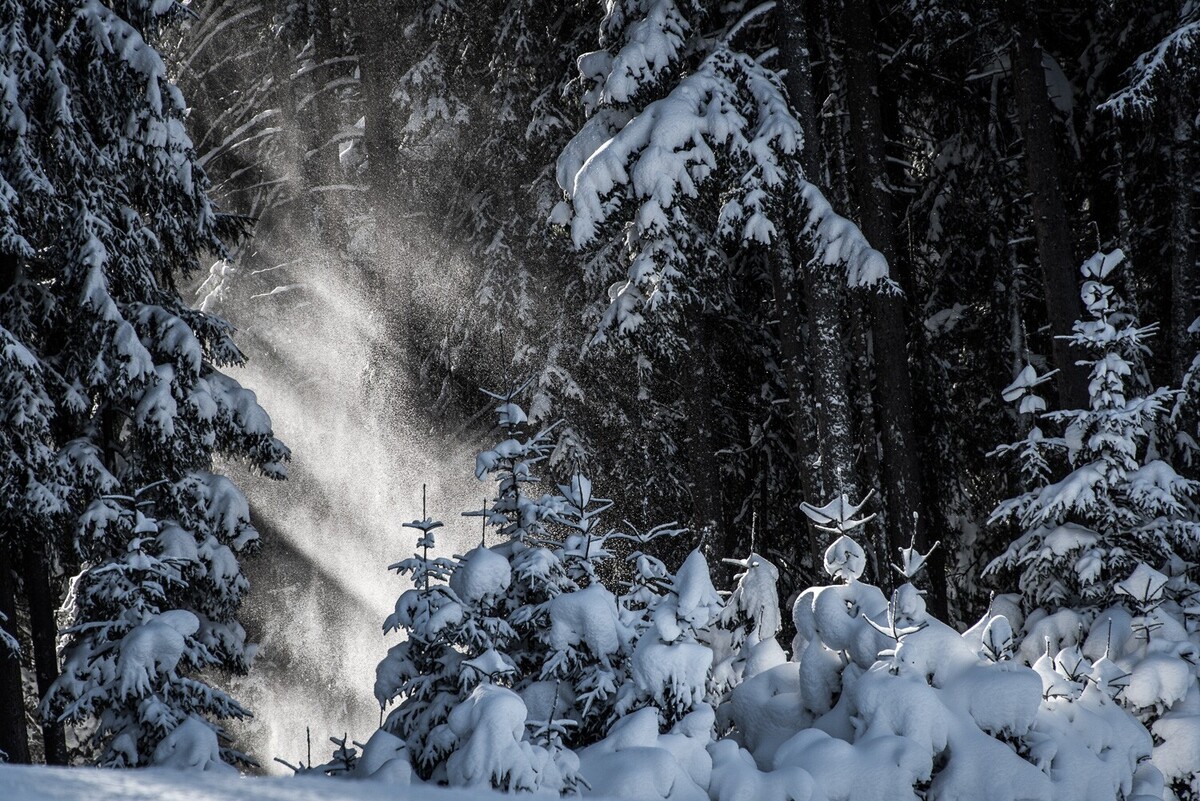 Zimní turistická stezka Hinterriss - Gaberlalm