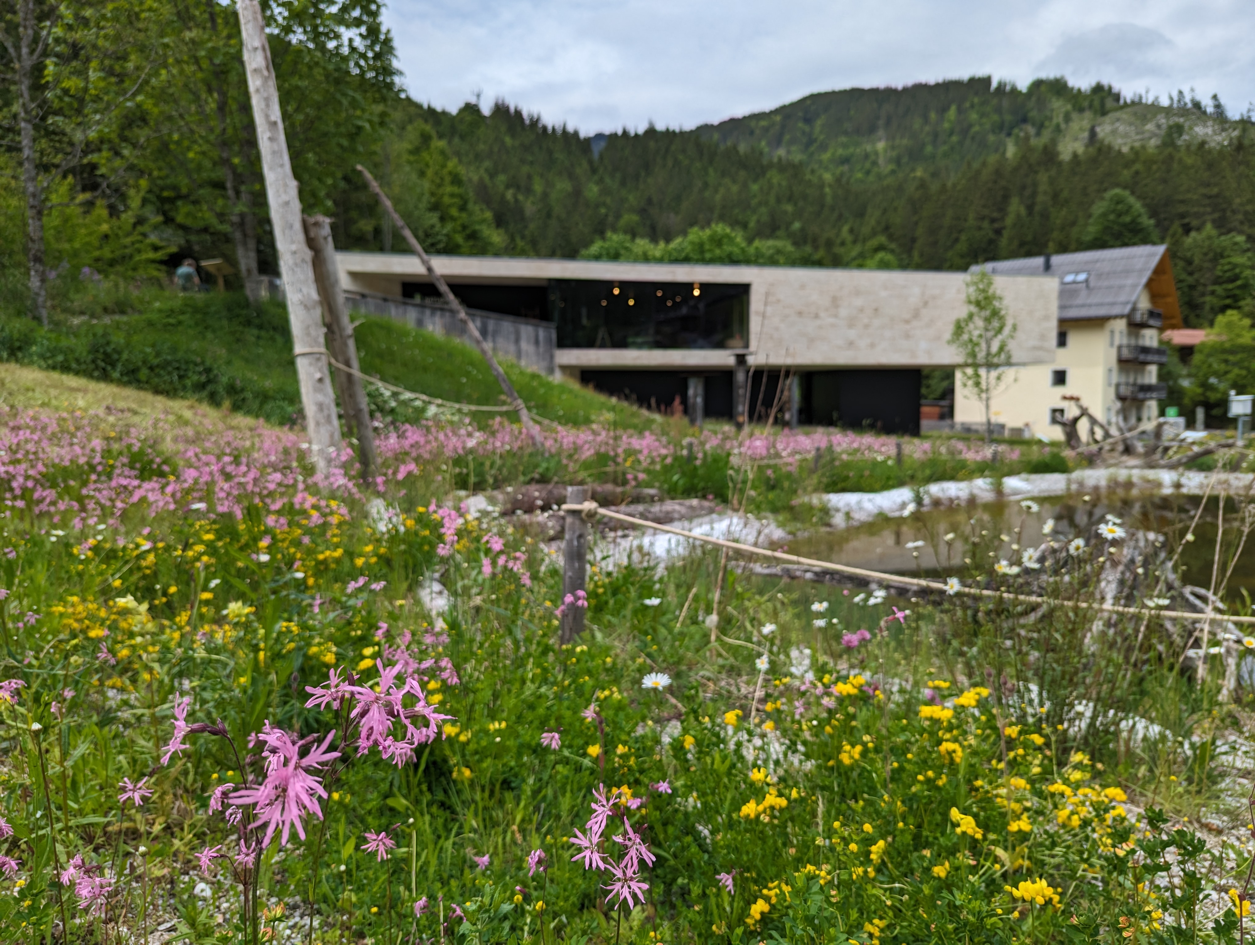 Workshop und Vortrag: Artenvielfalt im Garten mit Christina Epp