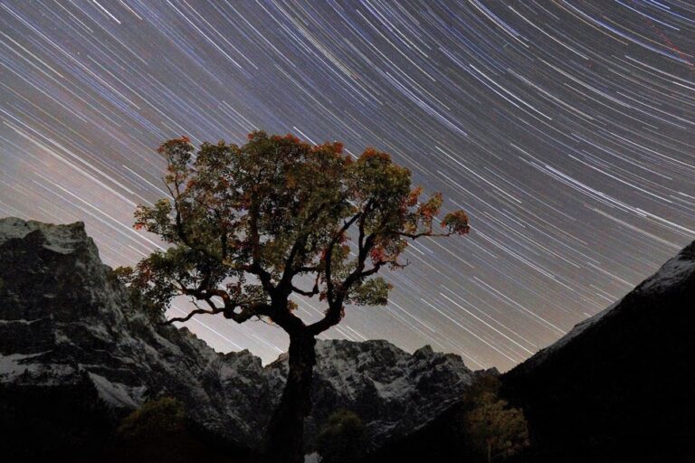 Exkursion: Sternenhimmel am Ahornboden