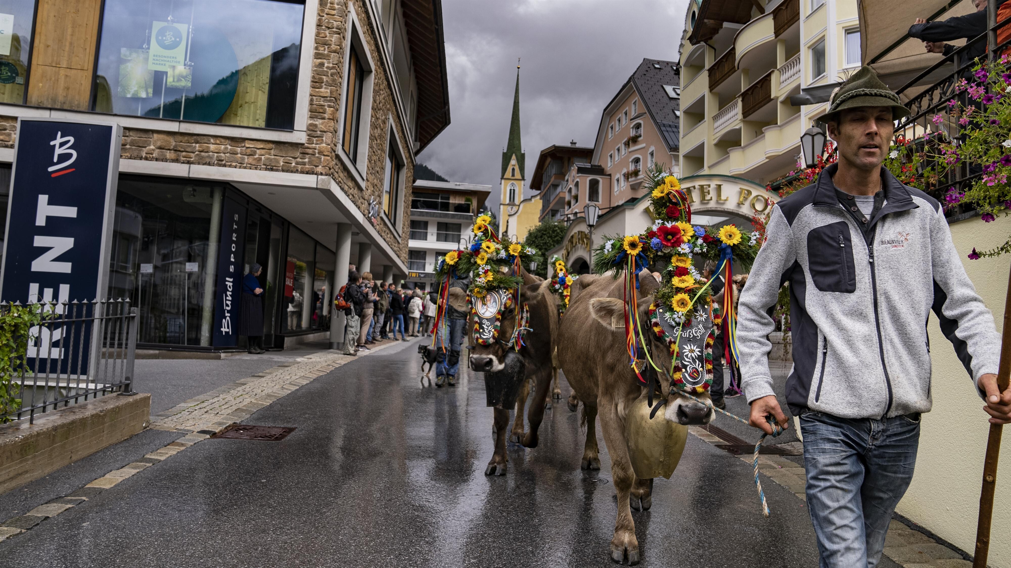Ischgler Almabtrieb