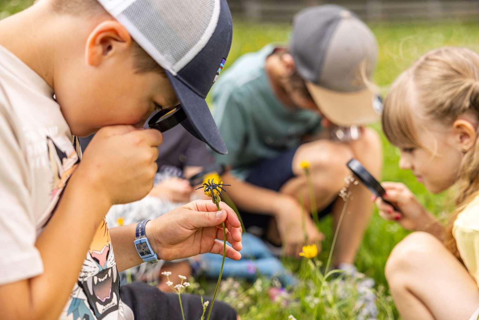 Kinderprogramm – Survival Entdecker Tag