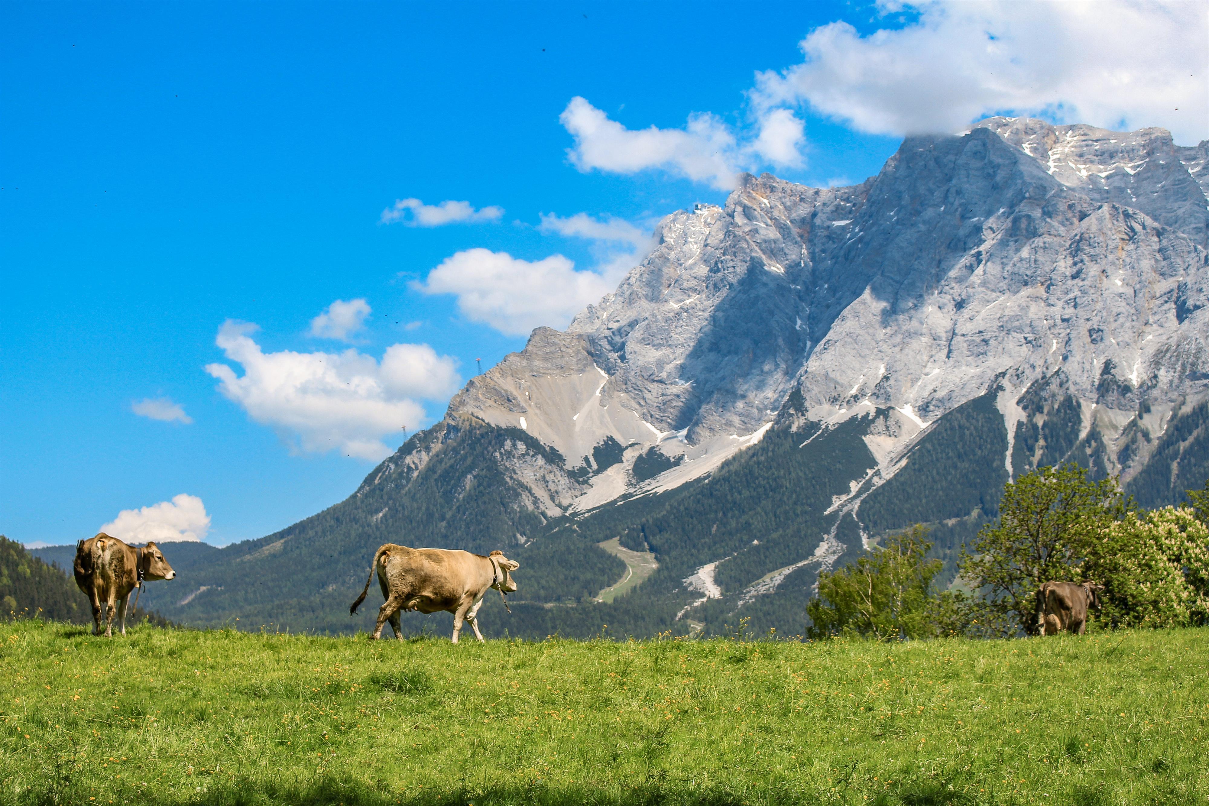 Warm Up geführte Wanderung