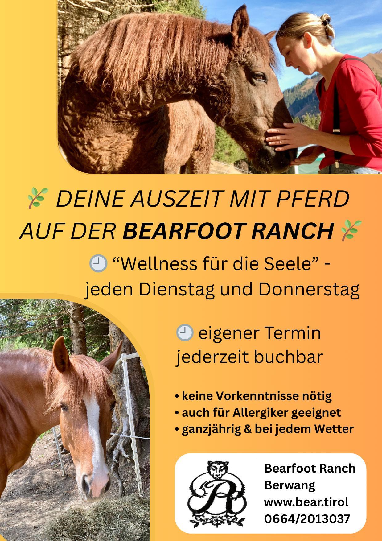 Wellness für die Seele – Zeit mit Pferden in Berwang