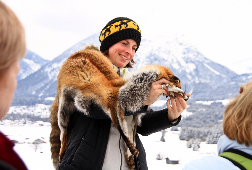 Tierspurenwanderung – Holzgau