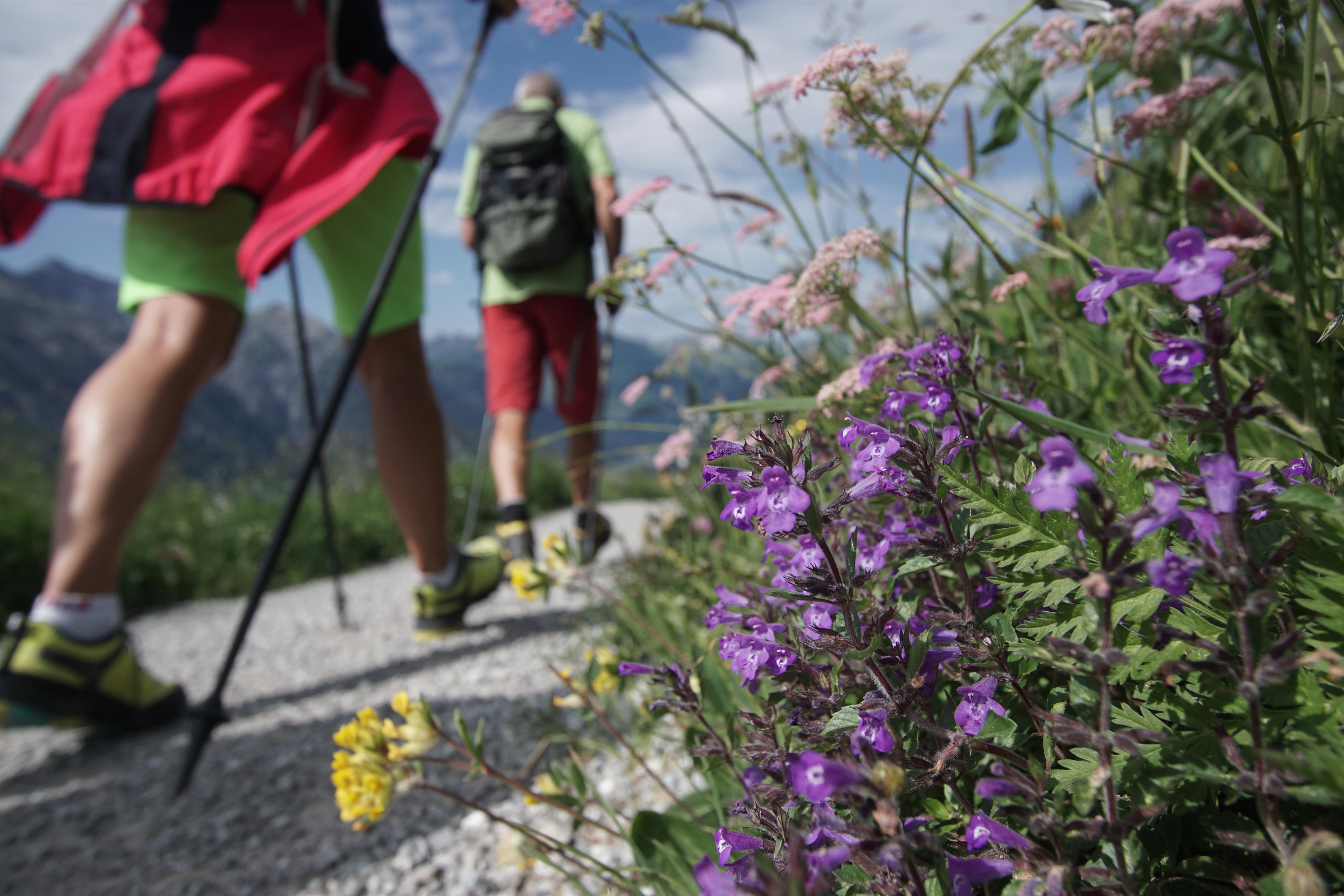 Alpenkräuterwanderung zum Bergheumuseum