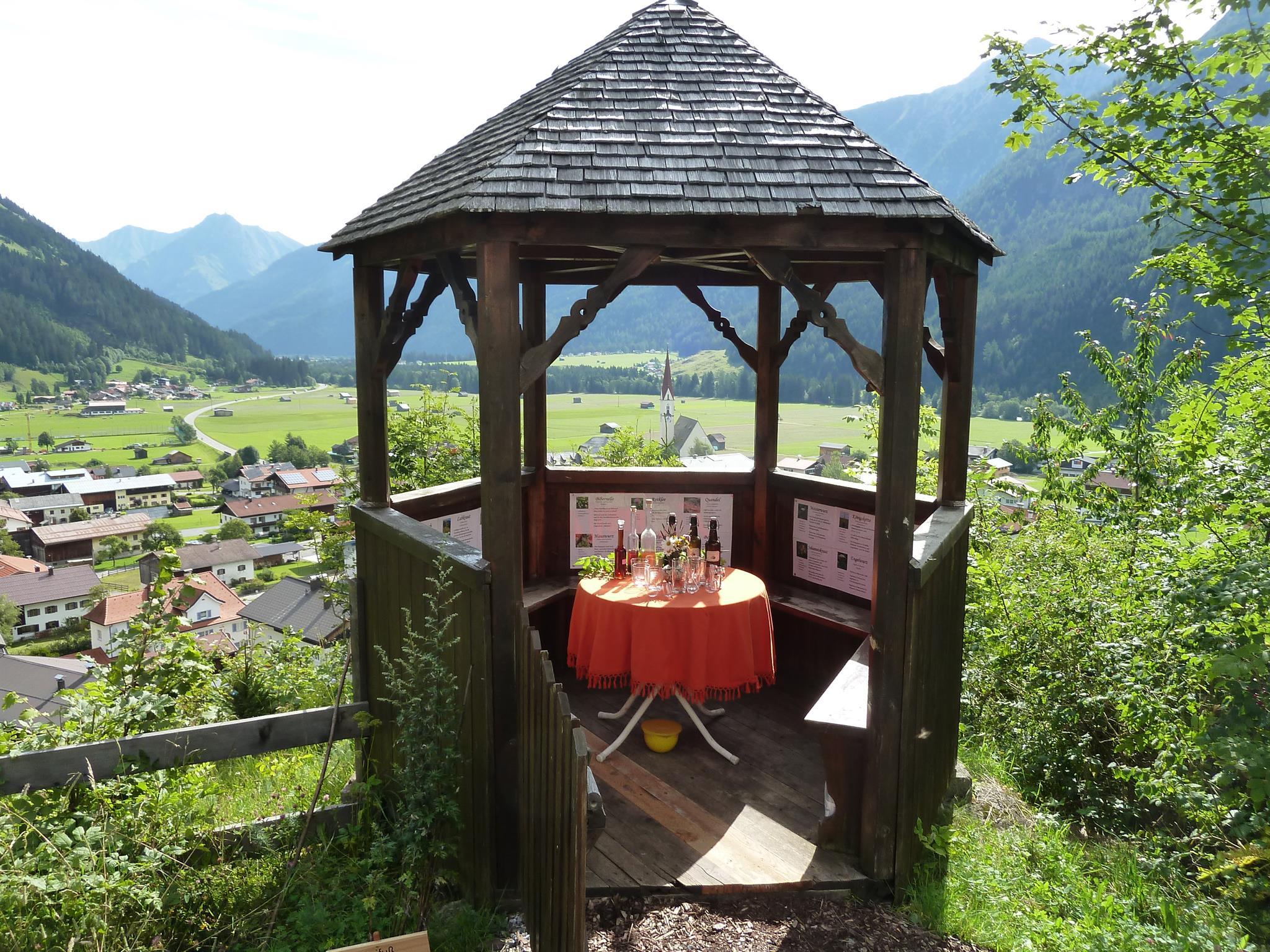 Wildkräuterführung am Ölberg