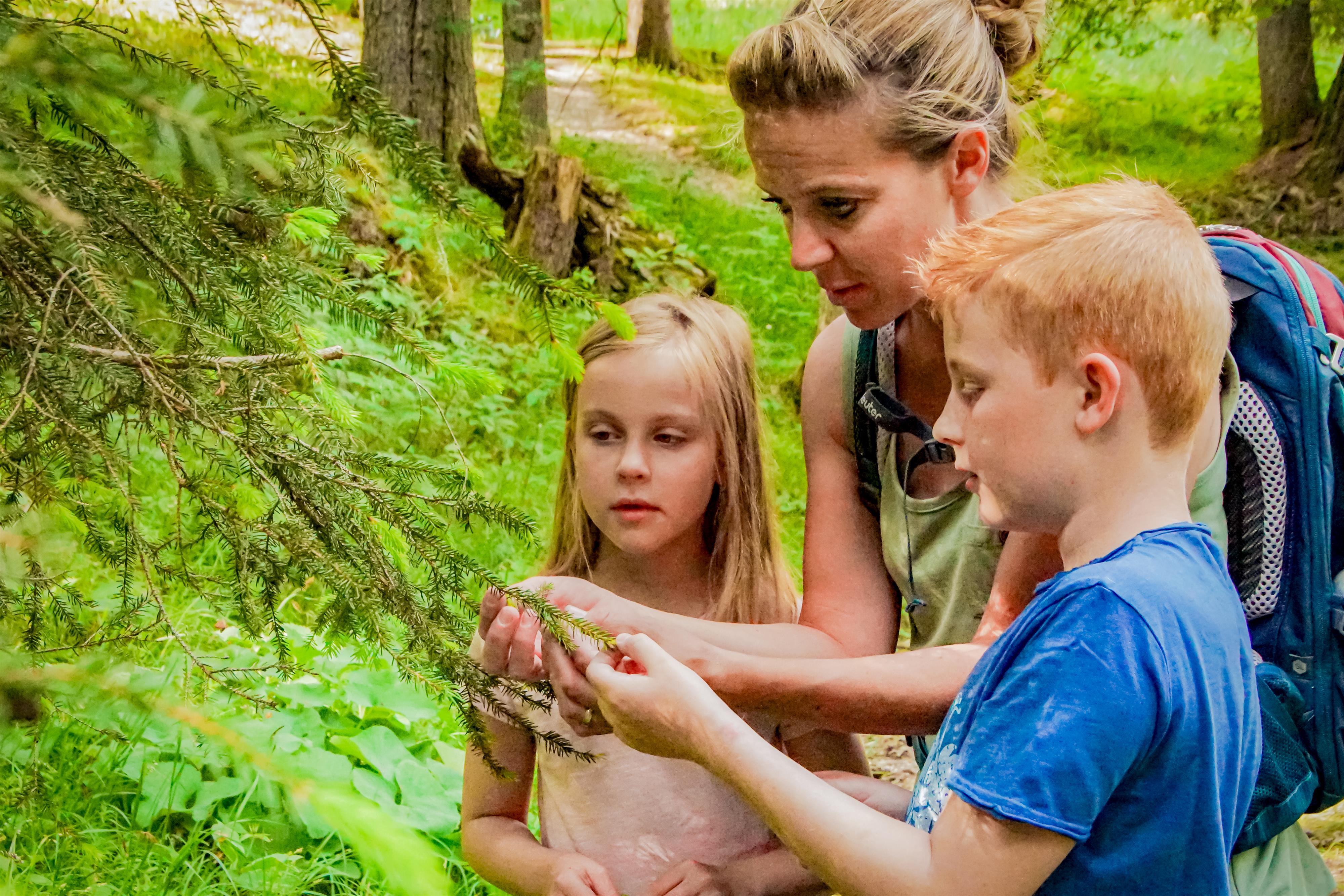 Lechtaler Wildkräuterwanderung