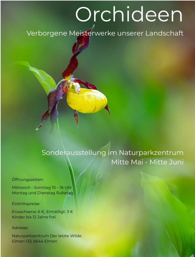 Sonderausstellung Orchideen
