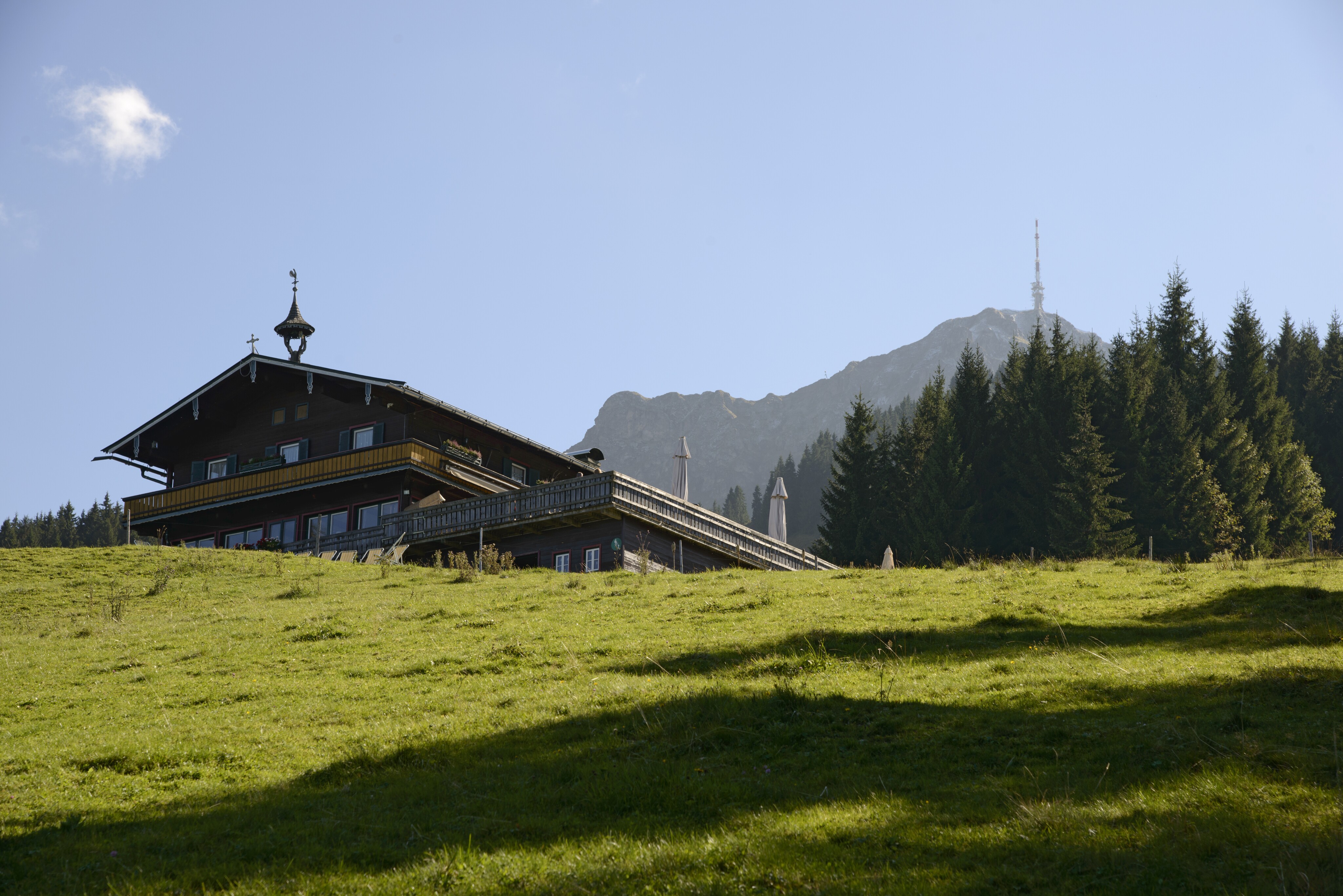 Die Angerer Alm liegt auf einer Lichtung unterhalb des Kitzbüheler Horns. Das Gebäude ist von Nadelwald und alpinen Weideflächen umgeben.