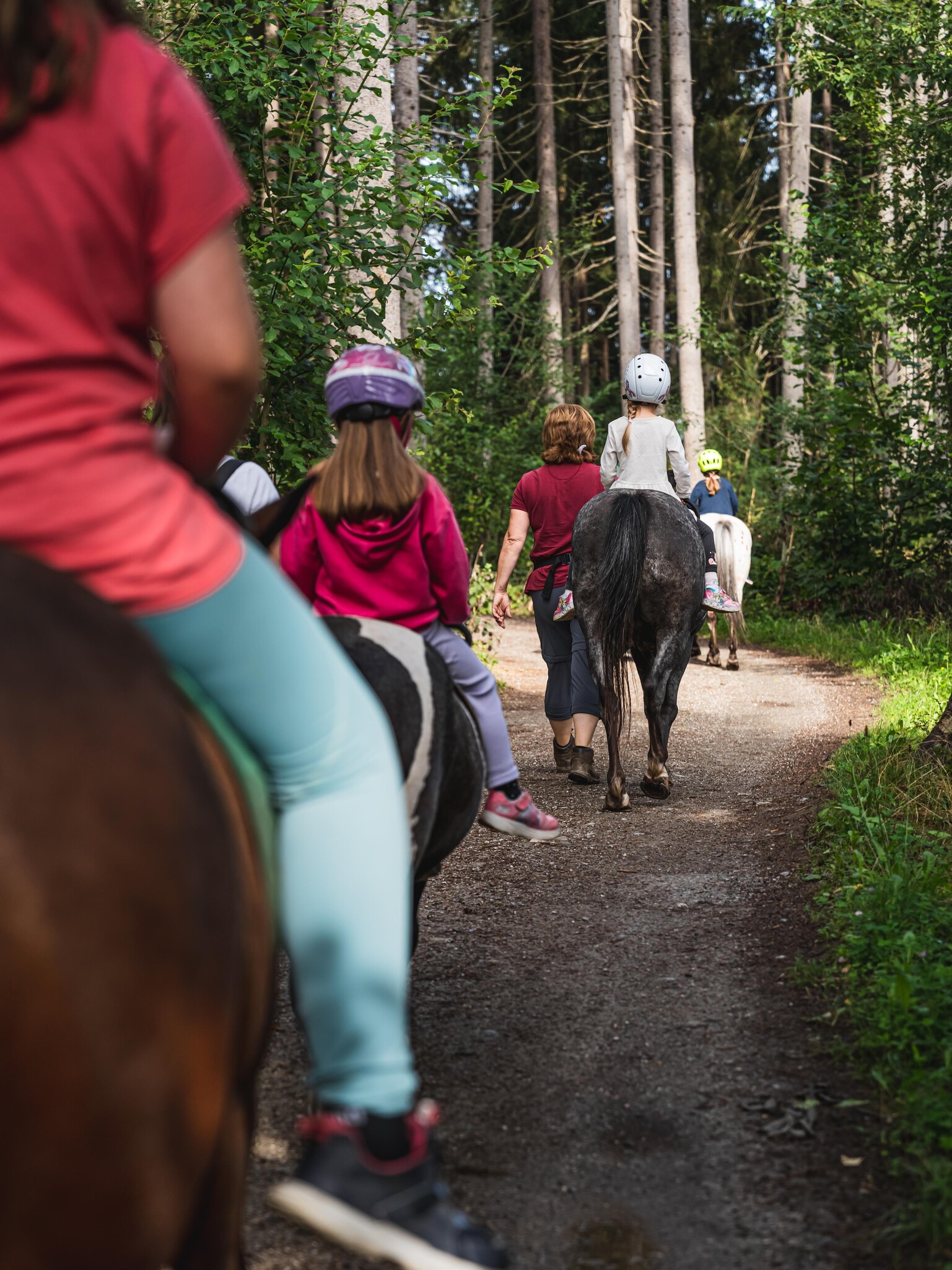 Ponytrekking in Westendorf