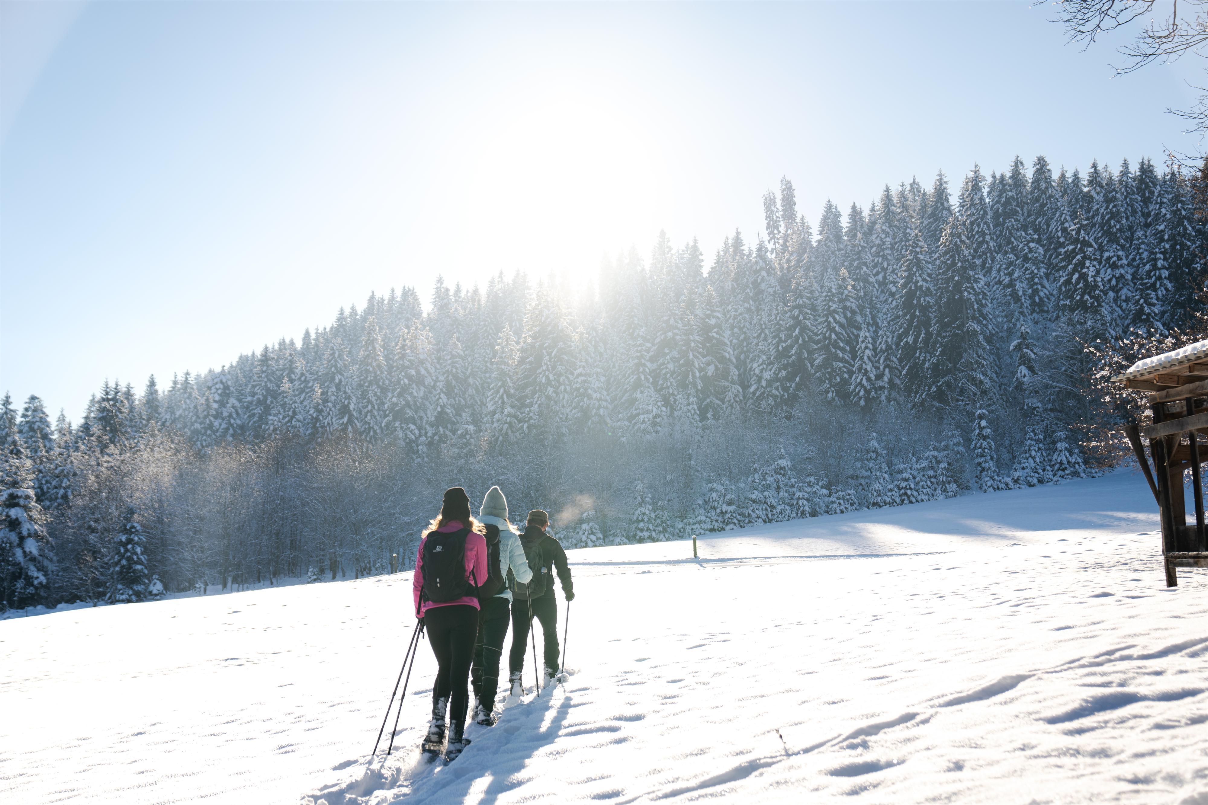 Schneeschuhwanderung in Hopfgarten/Kelchsau