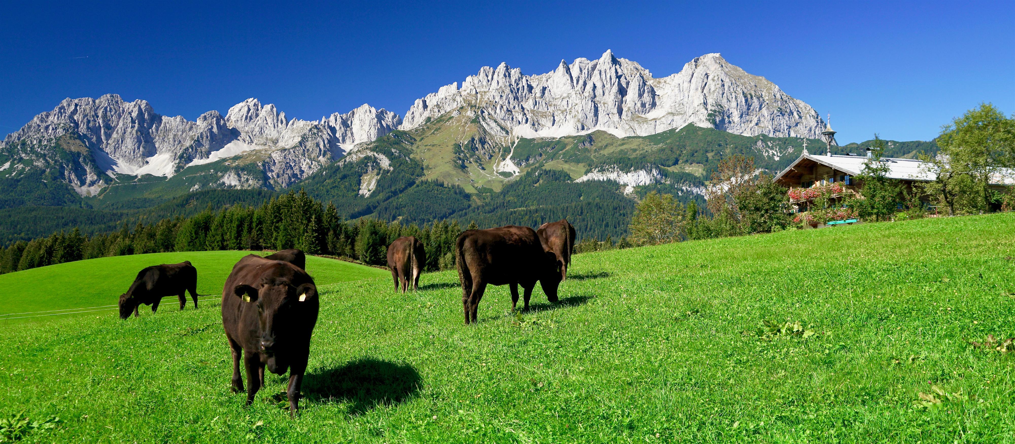 Sommer-Special: Genussradtour zu den „BIOKAISER“