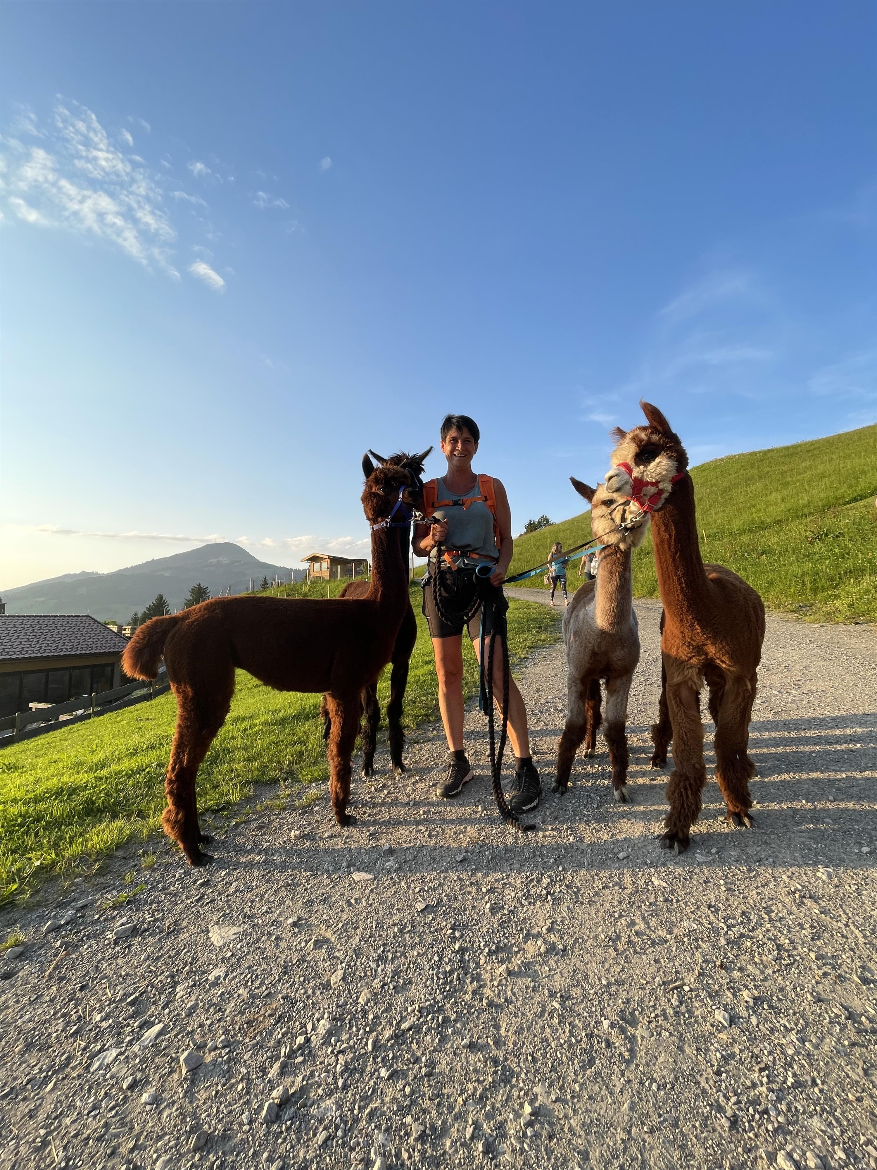 Sommer Alpakawanderung in Westendorf