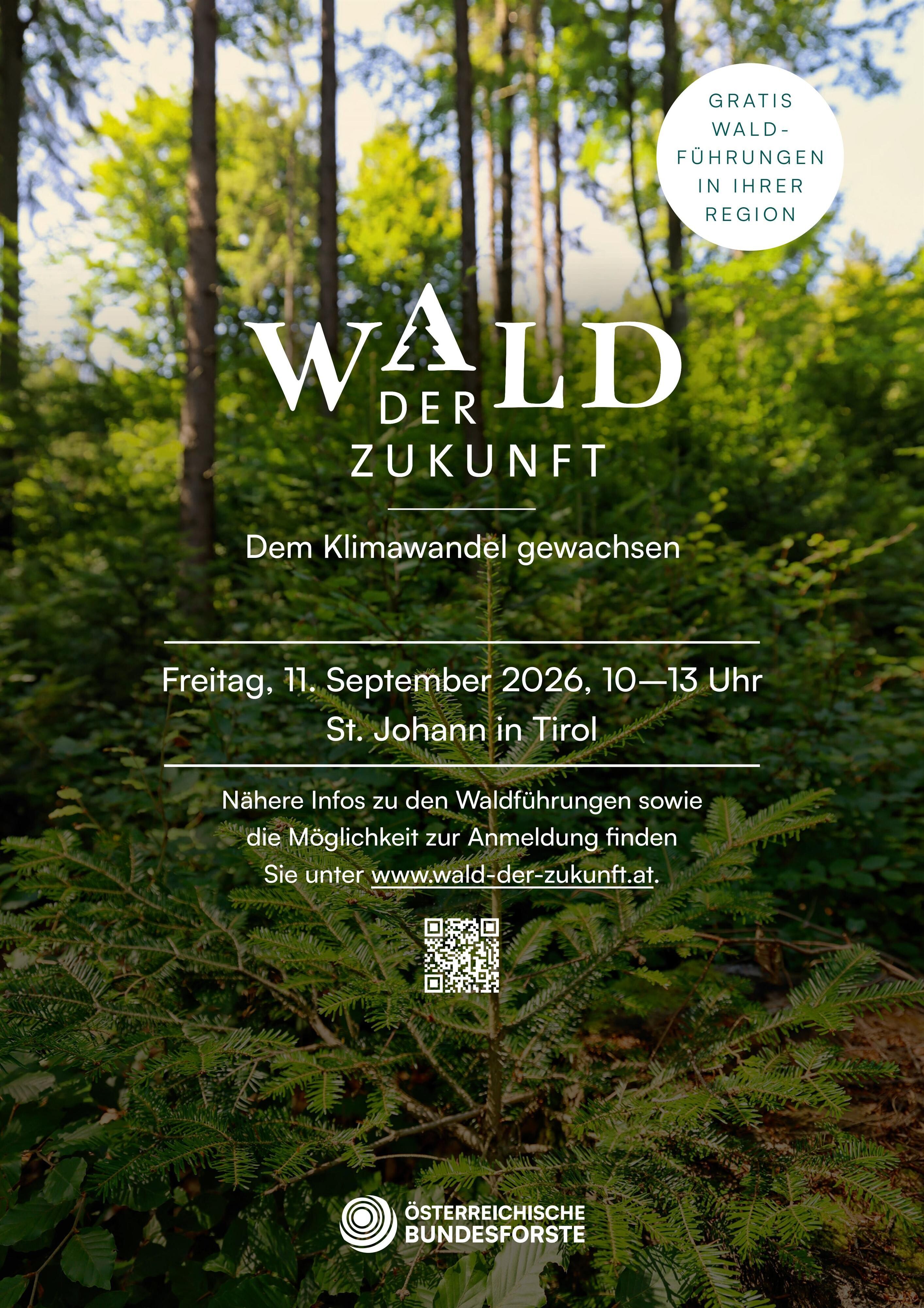 Wald der Zukunft: Waldführung in St. Johann in Tirol