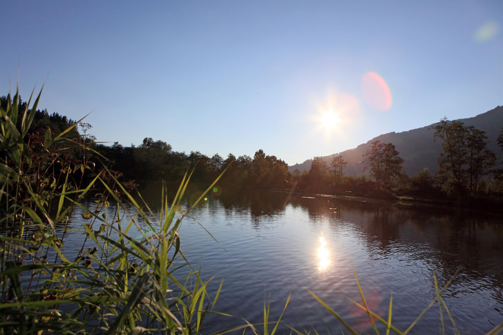 Petri Heil – fischen am Erlensee