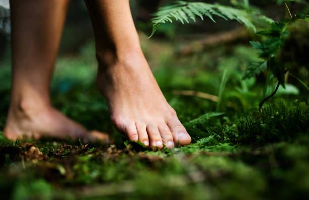 Aktiv Wellness – Waldbaden