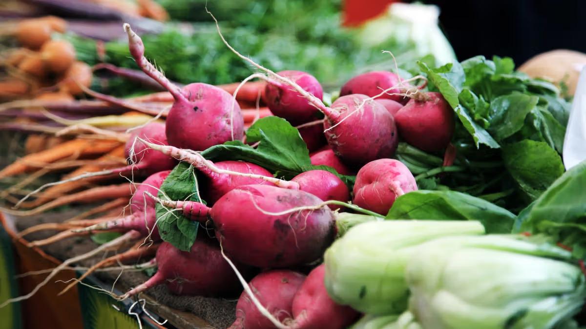 Markttag beim Steudler