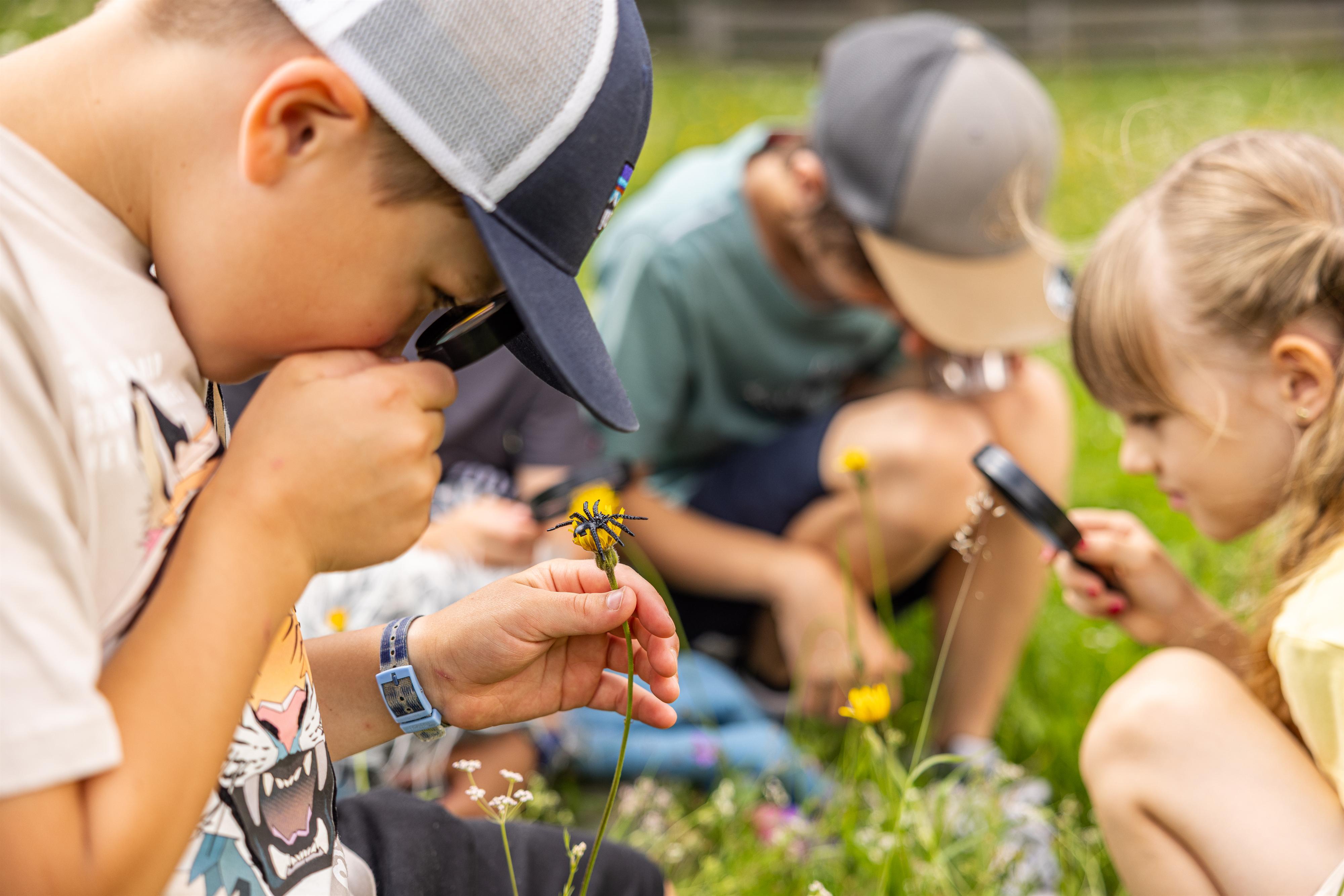 Family Aktiv – Erlebnistag mit Wildgehege