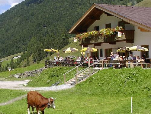 Live Musik auf der Lackenalm