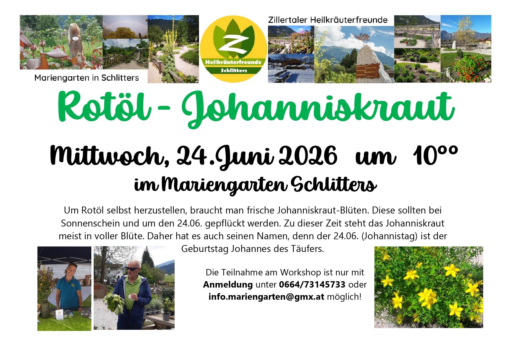 Rotöl-Johanniskraut