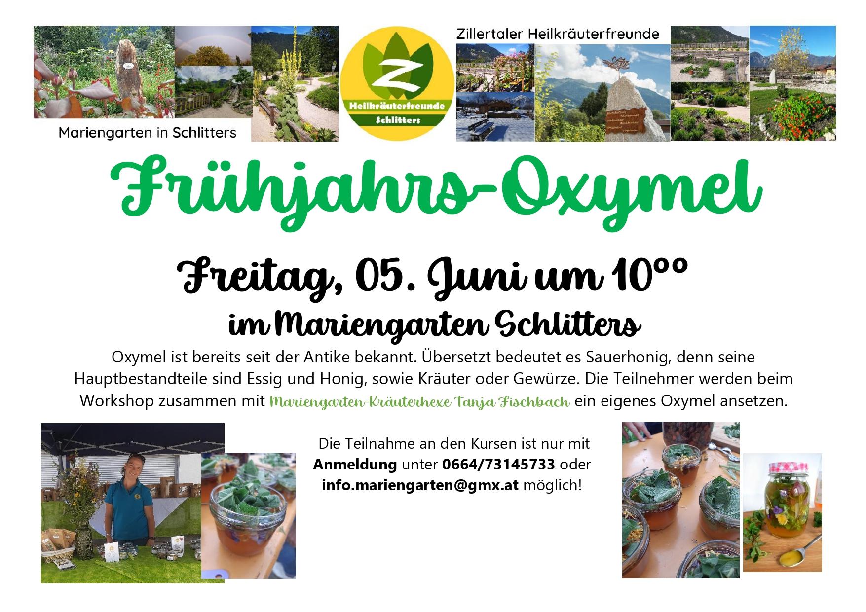 Frühjahrs-Oxymel