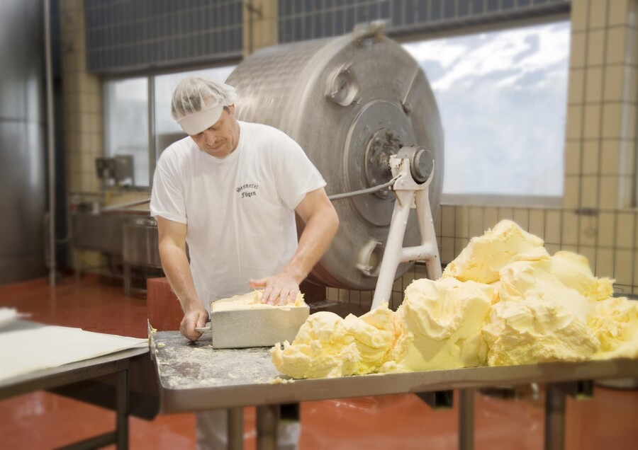 cheese dairy Fügen