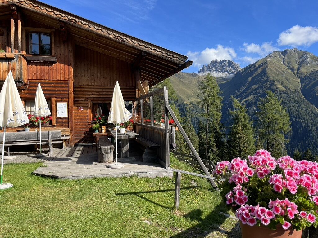 Brandstattalm 1.810m - Sommer 2