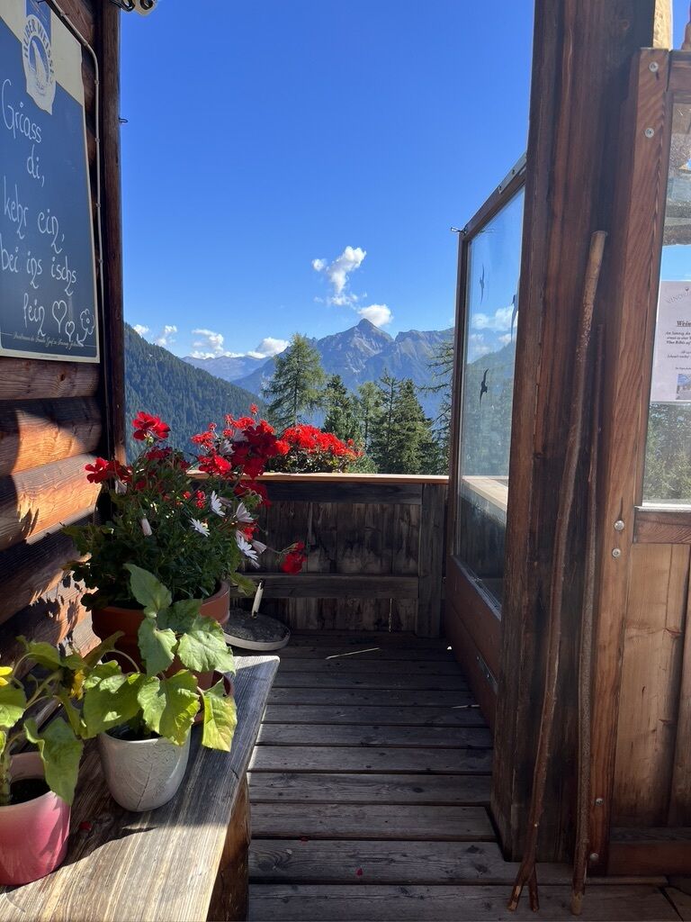 Brandstattalm 1.810m - Sommer 8