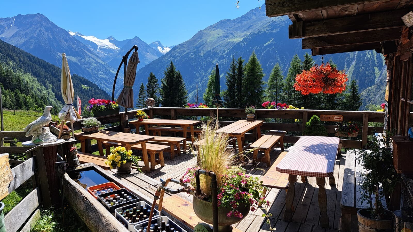 Bacherwandalm1.JPG