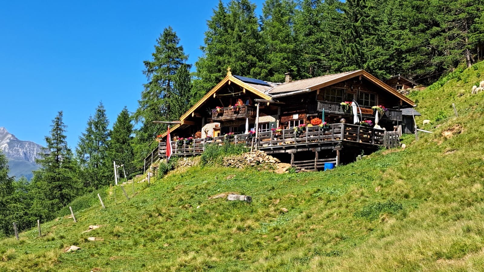 Bacherwandalm2.JPG