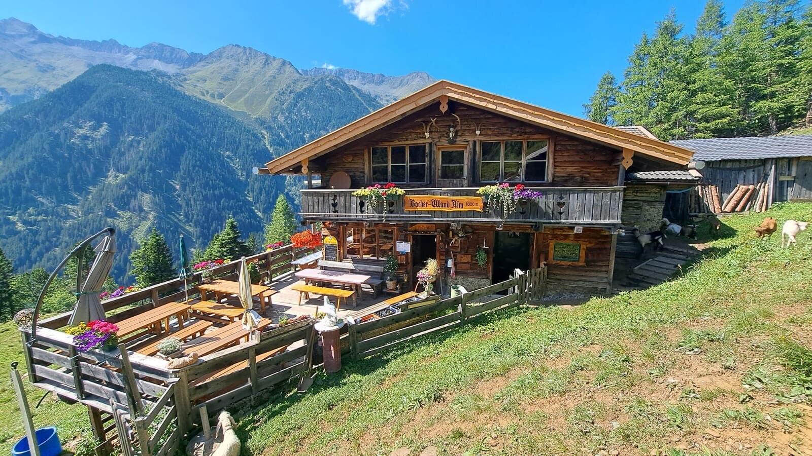 Bacherwandalm_1.JPG