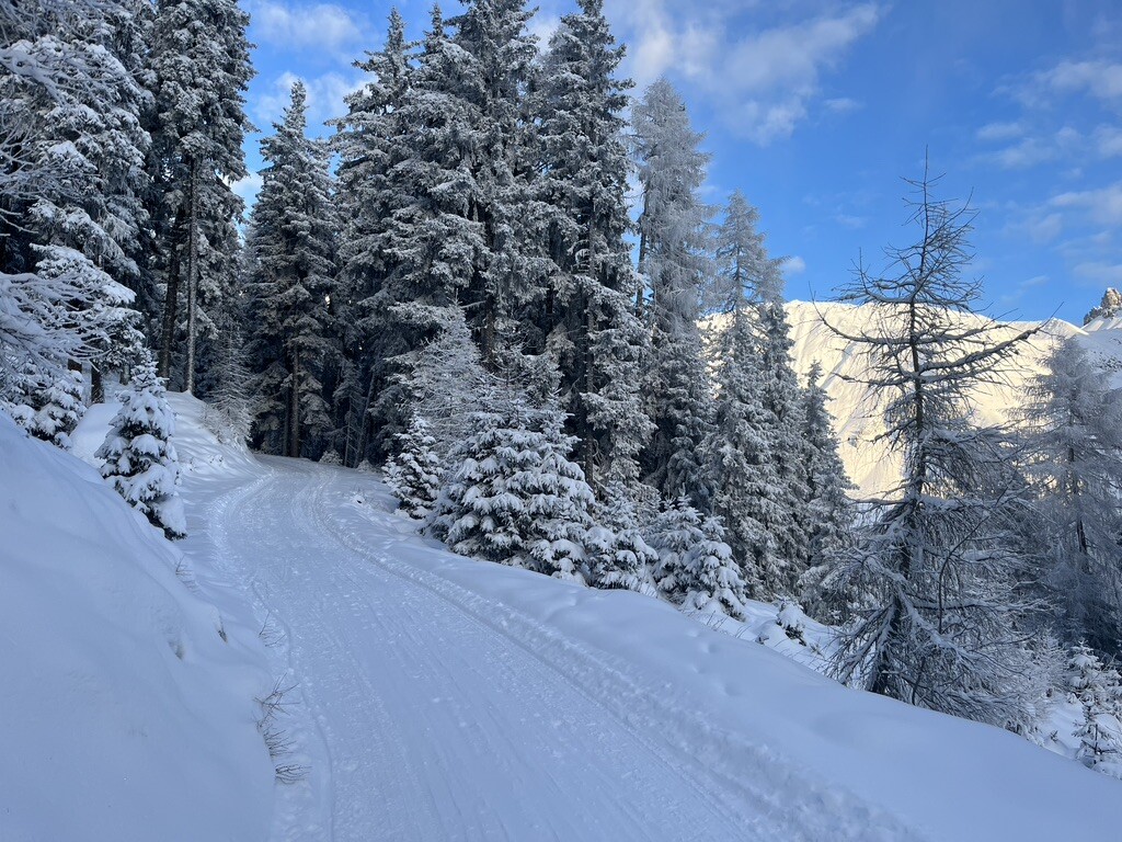 Brandstattalm_Rodelbahn.jpeg