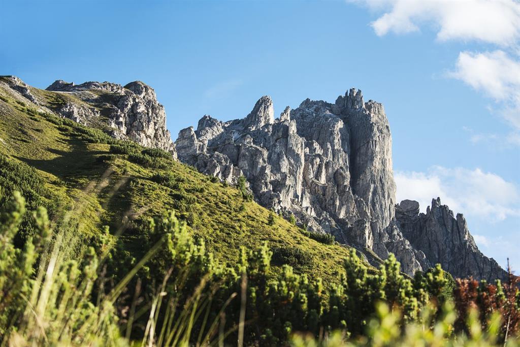 Geführte Wanderung zur Elferspitze & Elferhütte