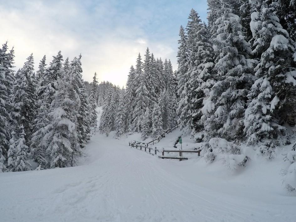 Geführte Winterwanderung „stille Wege des Stubaitales“