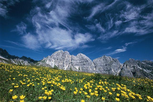 Kostenlos geführte Wanderung im Wandergebiet Schlick 2000