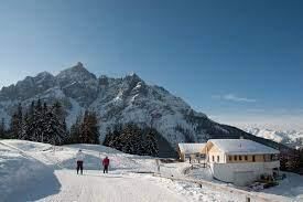 Panoramarestaurant Koppeneck 1.609m - Winter 3