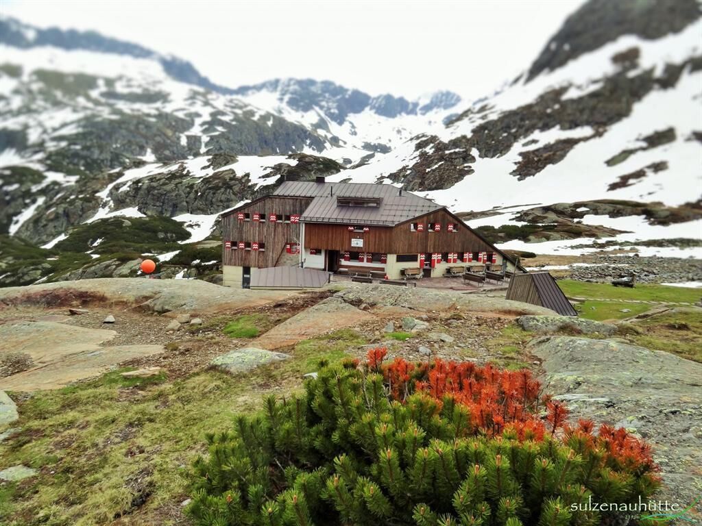 Sulzenauhütte 2.196m - Sommer 4