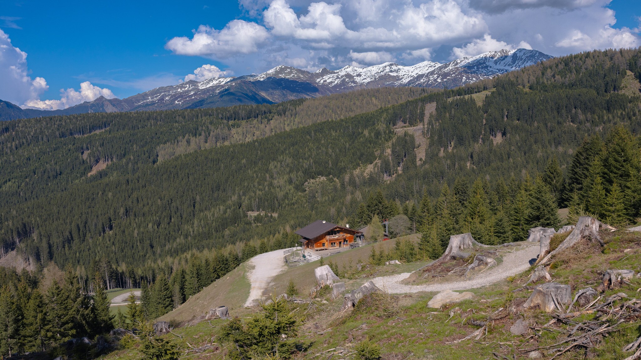 Ochsenhütte Mieders 1.582m - Sommer 3