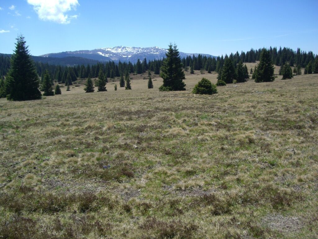 Photo for route: 7. Etappe: Jakobsweg Weststeiermark