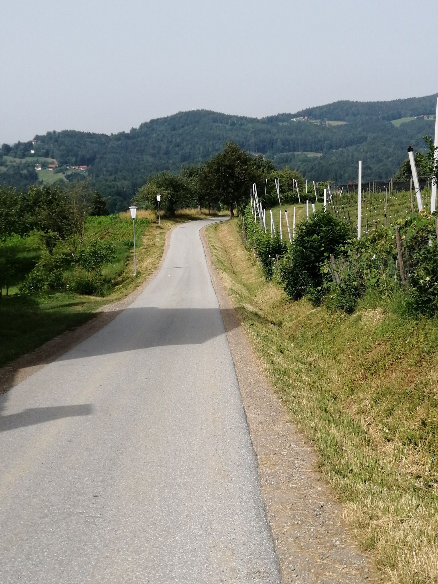 Foto zur Tour: Abend Lauf